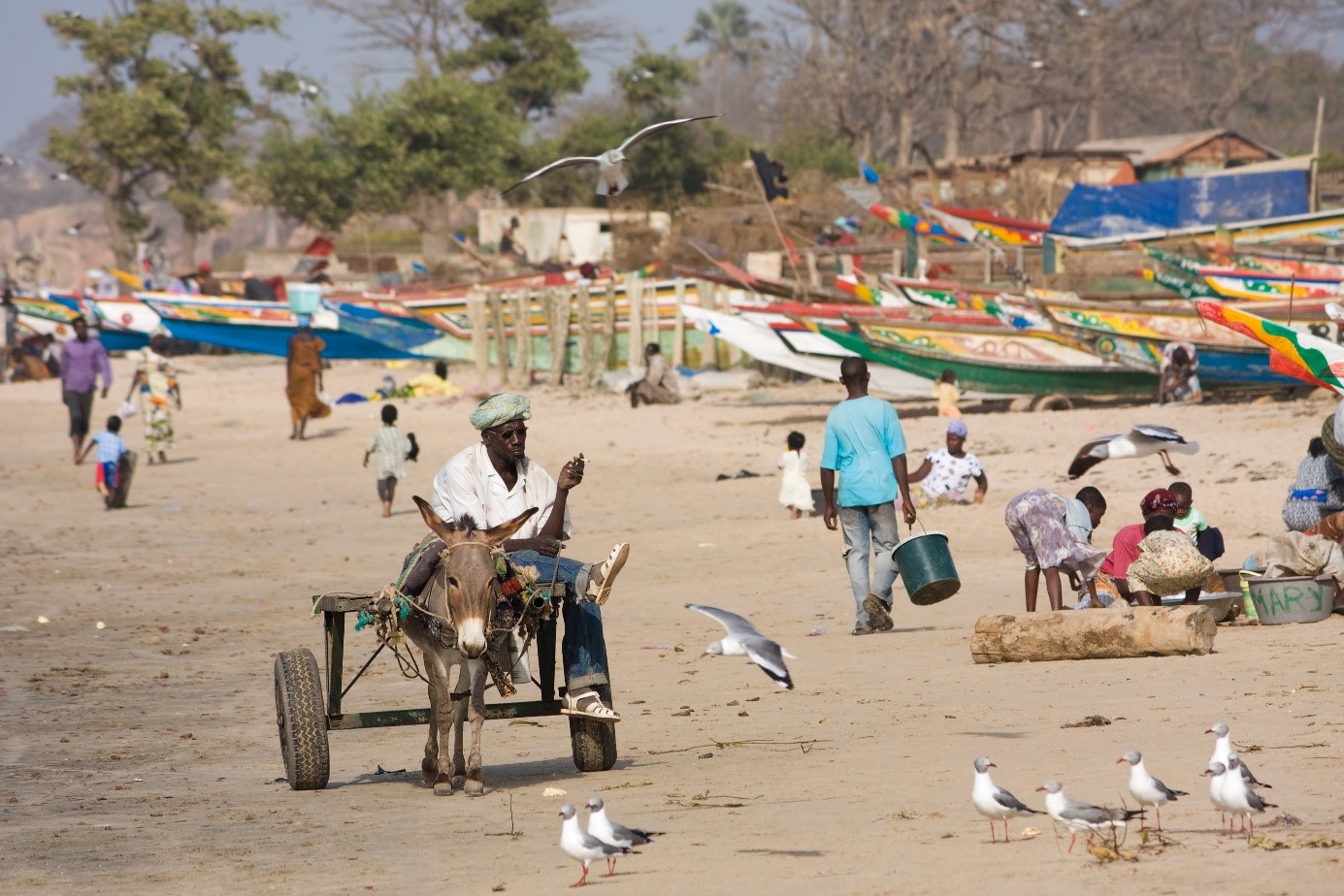 Migration: Chinesen in Afrika